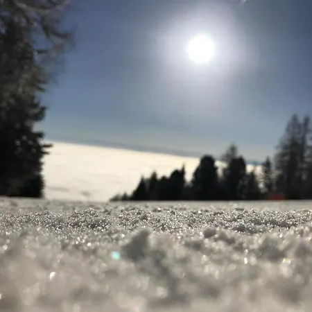 Holiday home Kaernten Stueckler Hochrindl